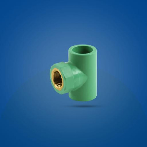 قسام سن (5) قسام سن (5)